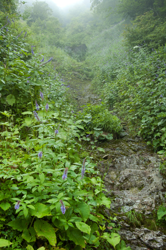 c0168986_10582416.jpg