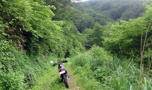 XT250 セロー 3  険道峠めぐり（高倉峠 冠山峠 巣原峠 温見峠）_a0339187_08155917.jpg