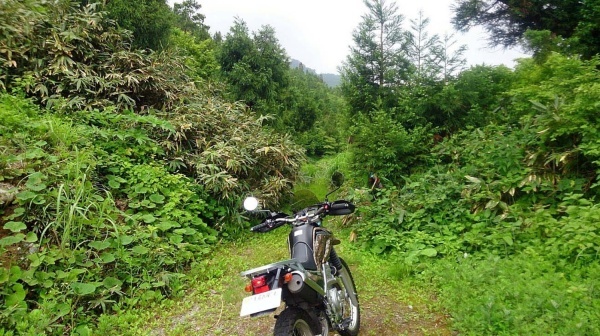 XT250 セロー 3  険道峠めぐり（高倉峠 冠山峠 巣原峠 温見峠）_a0339187_08173832.jpg