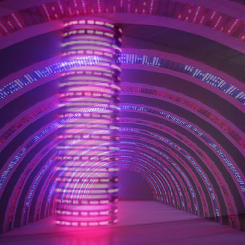 Jenny Holzer「Please change beliefs」 : Interplay86GT LIFE