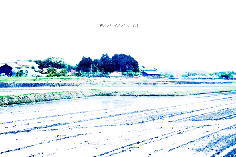 TEAM-YAMATOJI***_d0145990_03532455.png