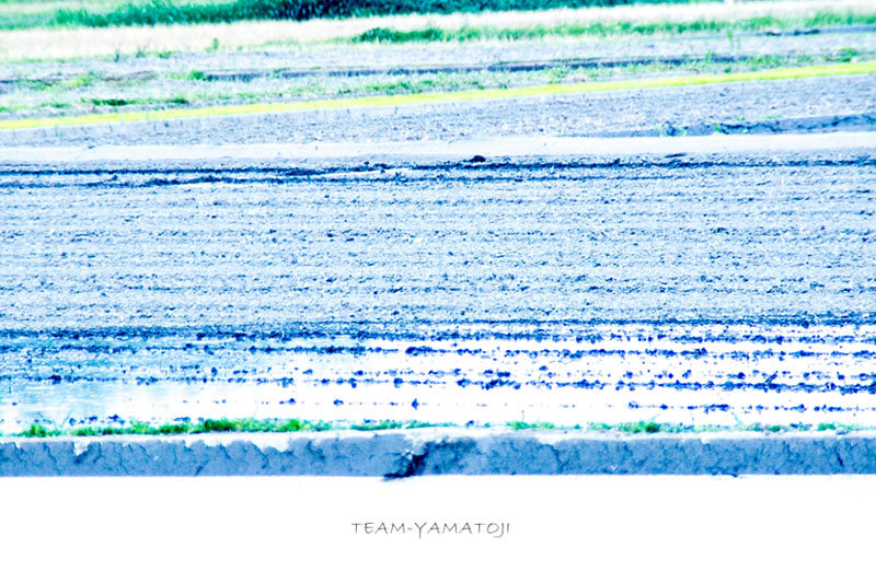 TEAM-YAMATOJI***_d0145990_03565136.jpg