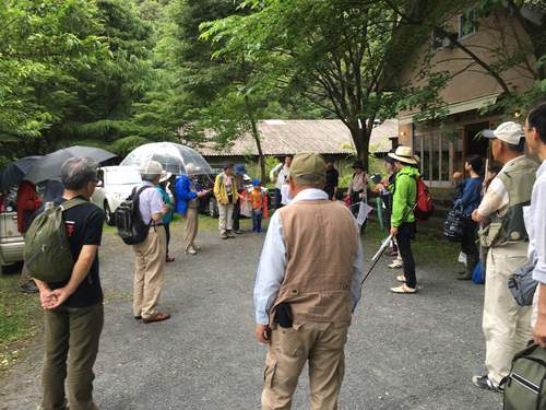 養老先生と虫を捕ったド~。_d0087595_19552533.jpg