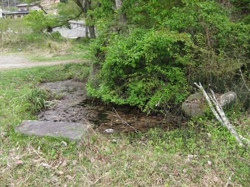 d0056197_114364.jpg