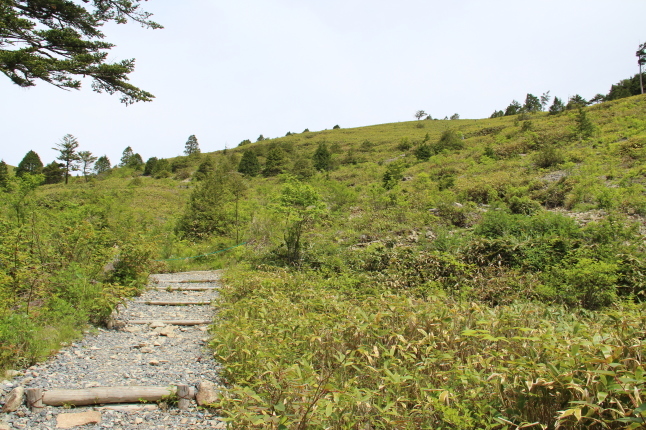 a0320601_15134005.jpg
