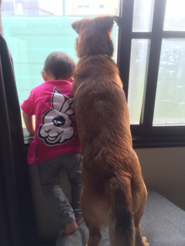 b0220002_16483436.jpeg