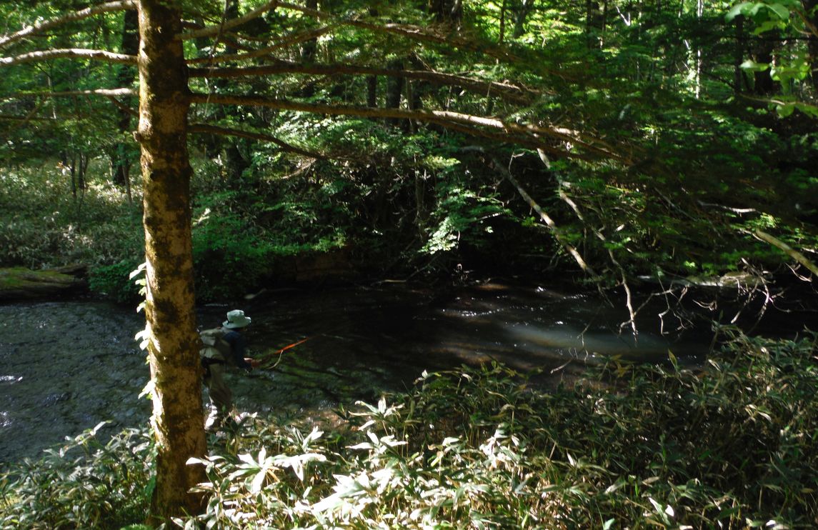 b0172805_91741.jpg
