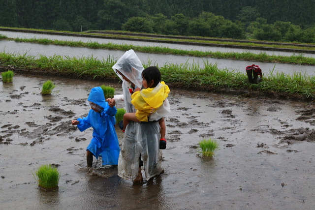 田植えです!(^^)!_d0009116_2044651.jpg