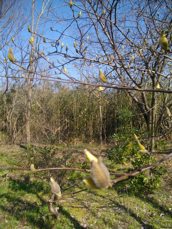f0342318_13403045.jpg