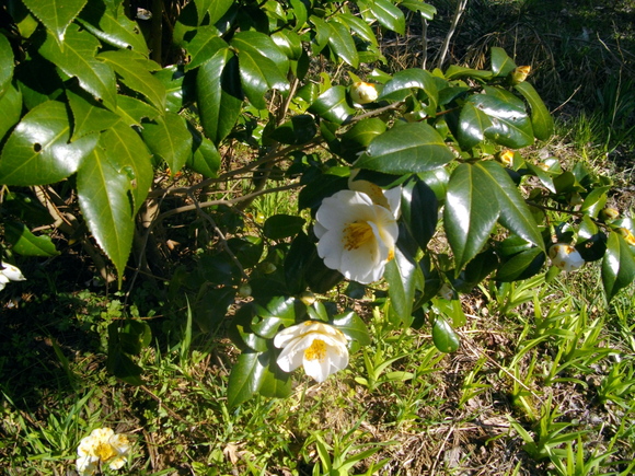 f0342318_13475898.jpg