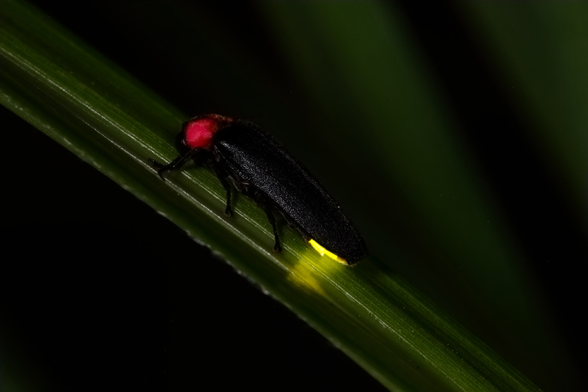 e0337826_23034550.jpg