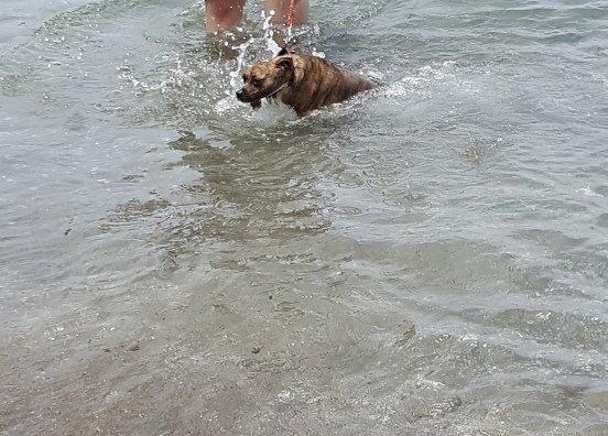 d0269832_09430570.jpeg