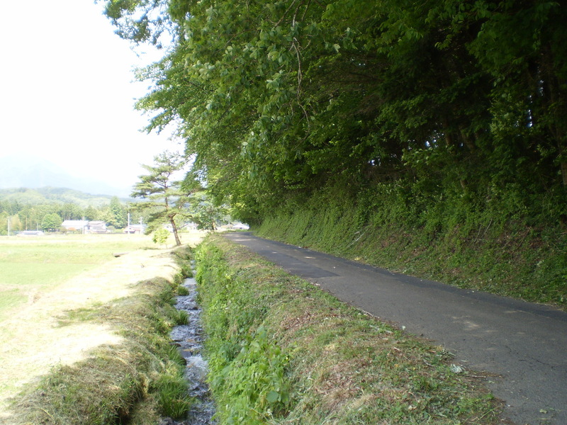f0363741_12151024.jpg