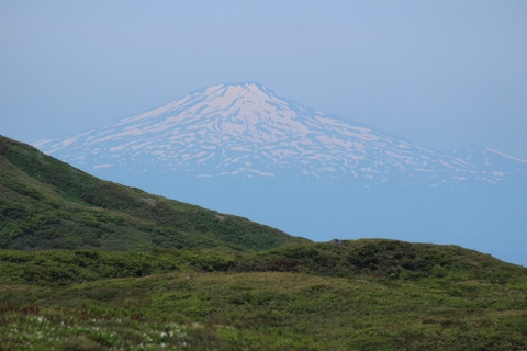 b0189948_04127.jpg