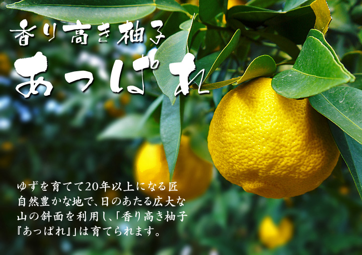 香り高き柚子(ゆず) 着果の様子と草刈り作業_a0254656_1720430.jpg