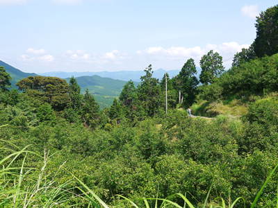 香り高き柚子(ゆず) 着果の様子と草刈り作業_a0254656_17322679.jpg
