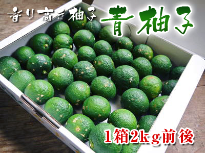 香り高き柚子(ゆず) 着果の様子と草刈り作業_a0254656_18221160.jpg