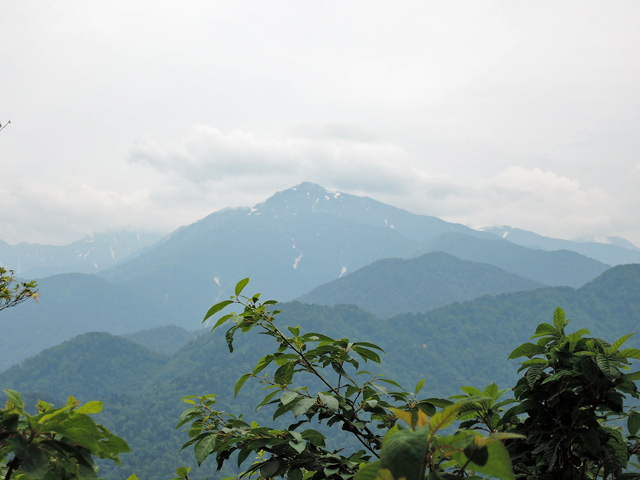 2016年6月12日　高峰山（957m･富山県上市町）_c0116856_2030869.jpg