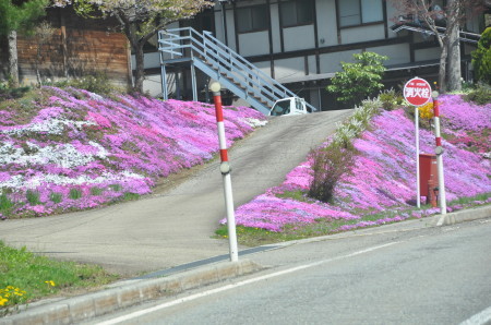 a0201257_16254556.jpg
