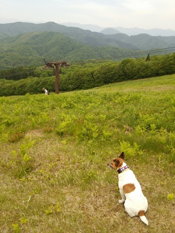 5月23日～24日　春のひるがの_f0100871_12310220.jpg