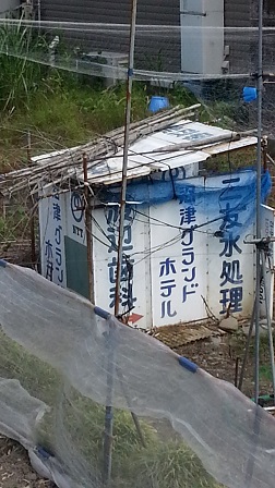 f0228680_9464810.jpg