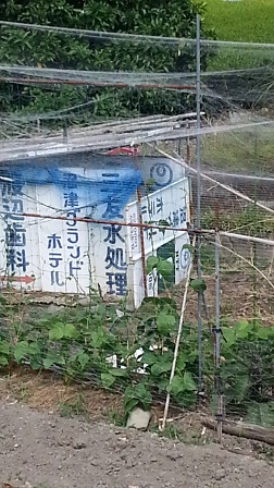 f0228680_9471452.jpg