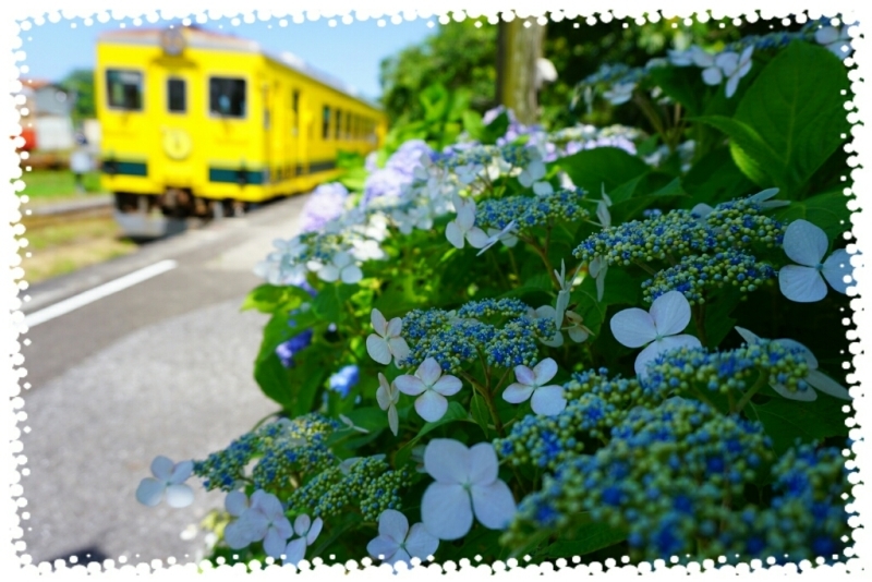 d0341483_22030864.jpg