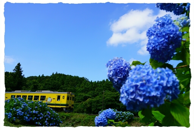 d0341483_22031107.jpg
