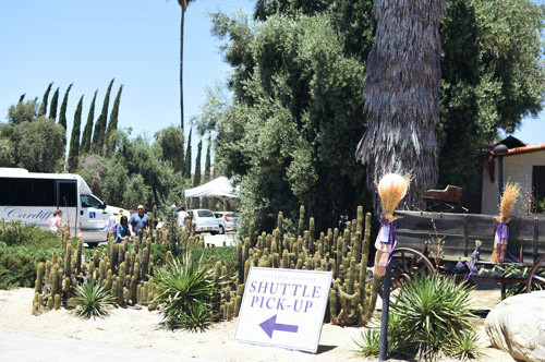 Lavender Festival*_d0159690_528021.jpg