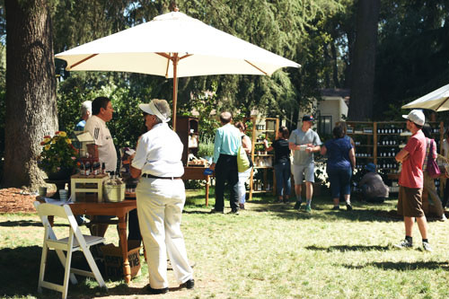 Lavender Festival*_d0159690_533505.jpg