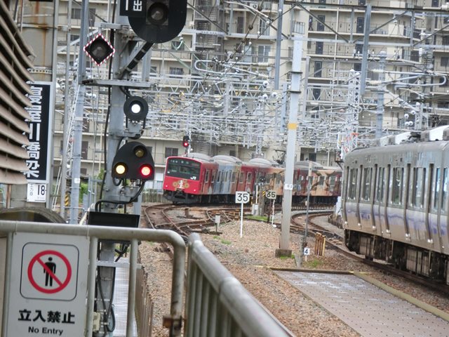 d0181492_0155583.jpg