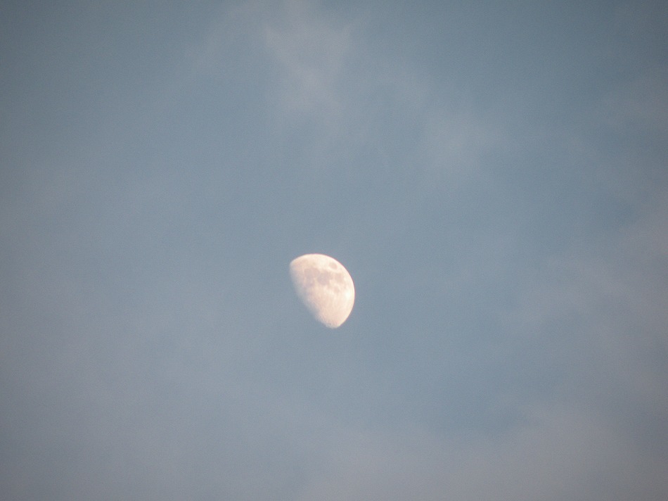 c0265095_21561257.jpg