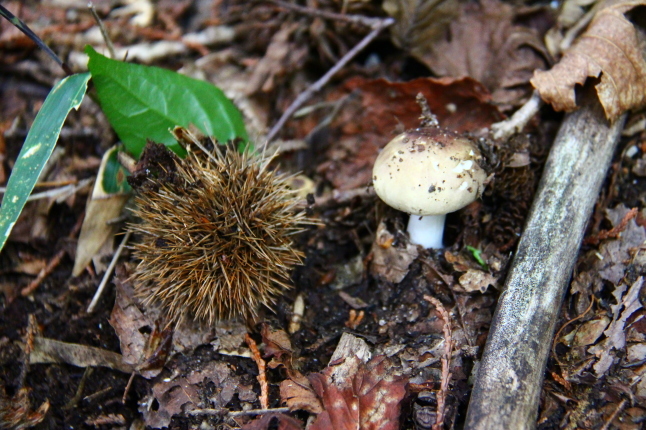 a0320601_00302238.jpg