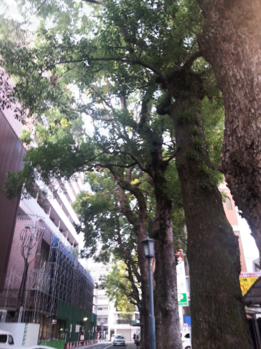 c0368903_20260569.png