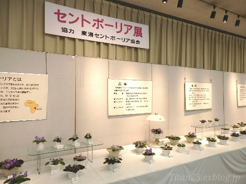 b0099813_8461477.jpg