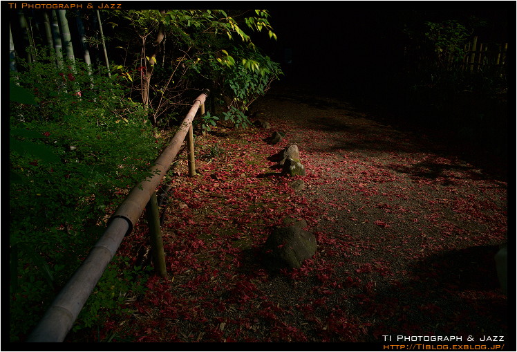 京王百草園の紅葉_b0134013_23165041.jpg