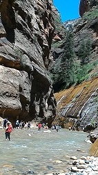 a0177314_13275566.jpg
