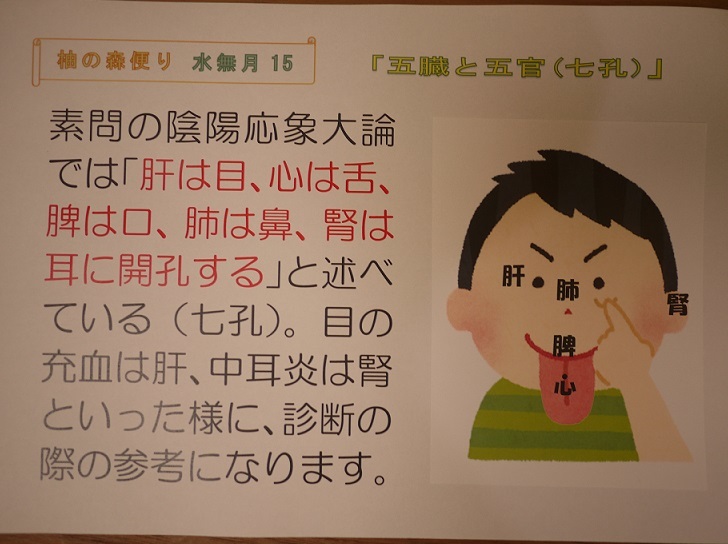 五臓と五官(七孔)_f0354314_10113538.jpg