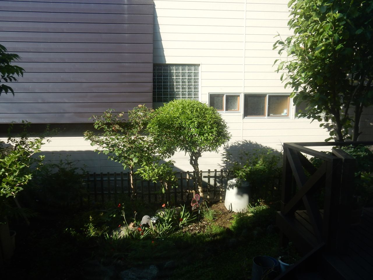 1週間ぶりのギリギリ20℃_c0025115_21311952.jpg