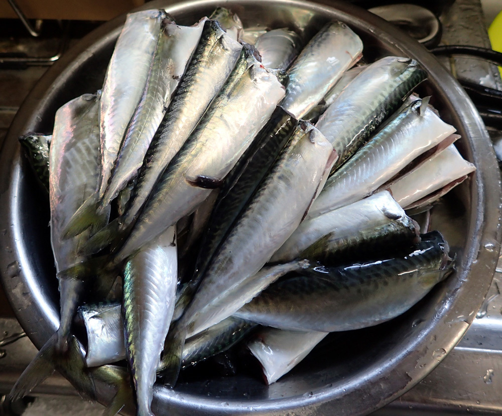 小サバの山椒煮 16年6月15日 水 釣り好き昌ちゃんの釣り日誌 小サバの山椒煮 16年6月15日 水 釣り好き昌ちゃんの釣り日誌