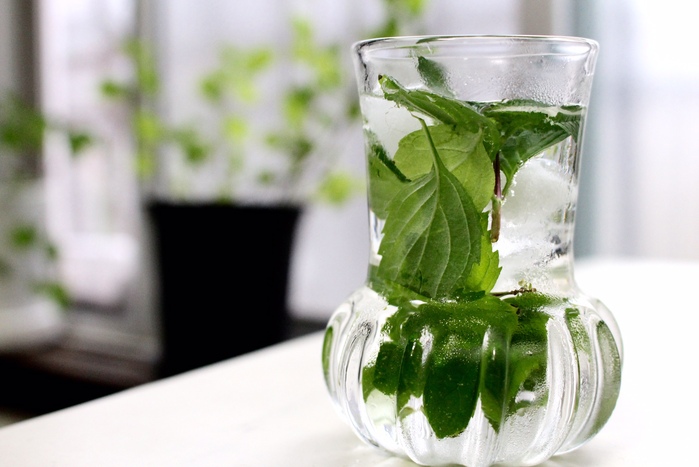 透明を楽しむ じばさんele