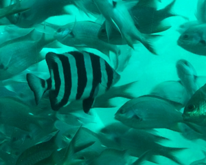 f0034334_0145560.png