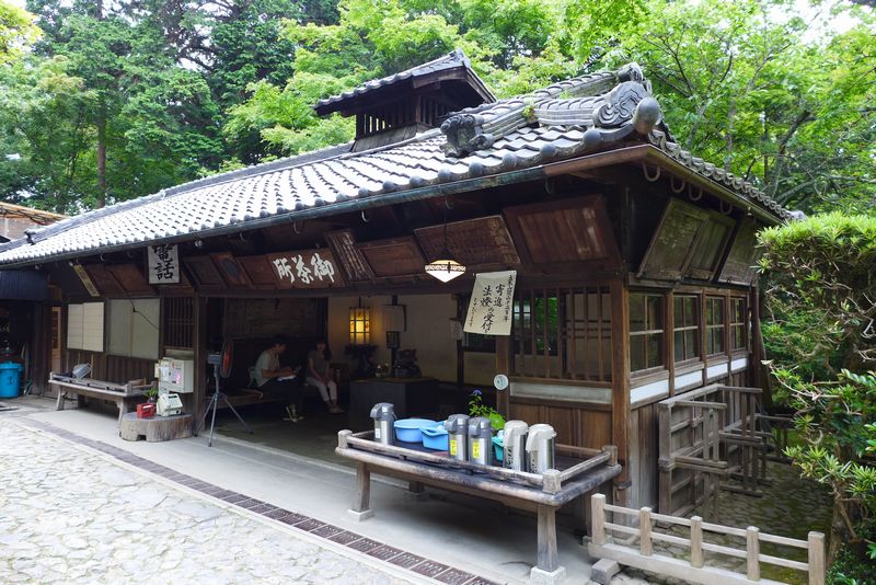 立木さん 「伽藍堂」さん (滋賀県大津市)_d0108737_039370.jpg