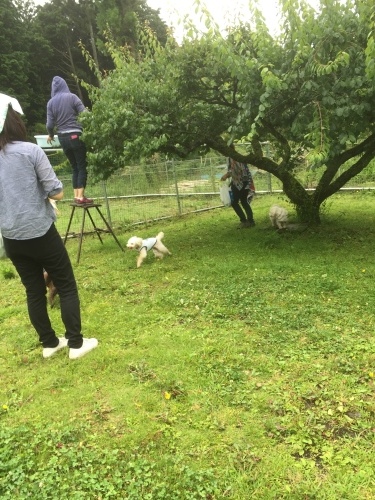 b0369239_10535198.jpeg