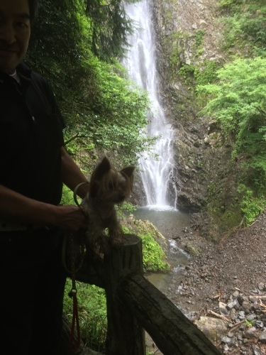 b0369239_11074318.jpeg