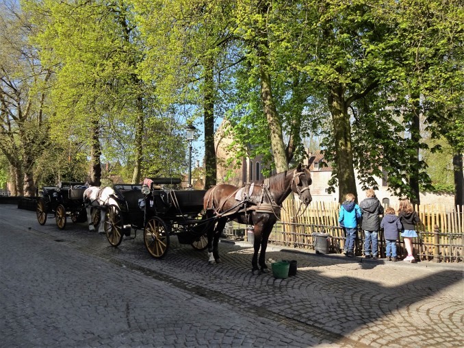 ☆2016 Paris☆☆８日目② ブルージュ・愛の湖公園～ペギン会修道院_c0071545_11553529.jpg