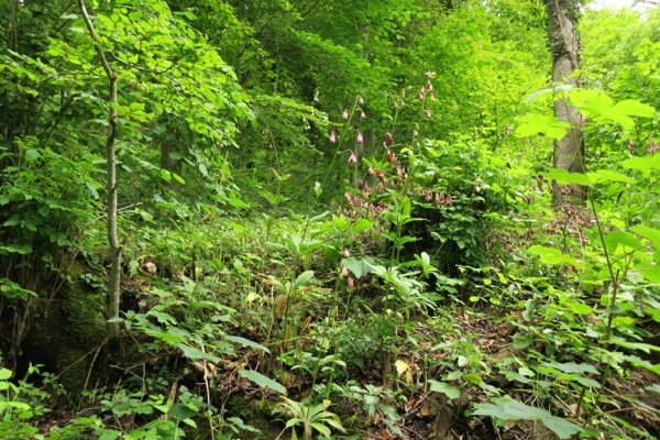 e0356046_04182592.jpg