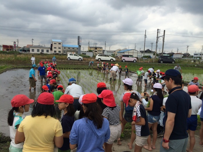 f0226346_20152784.jpeg