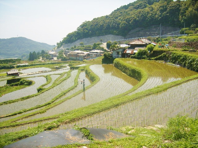 以前も紹介した長崎の棚田へ！_b0181748_18344065.jpg