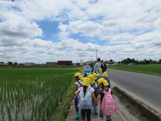 Potato Picking おいもほり_e0351952_12005433.jpg